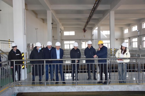 1709795892753691.jpg 1.jpg